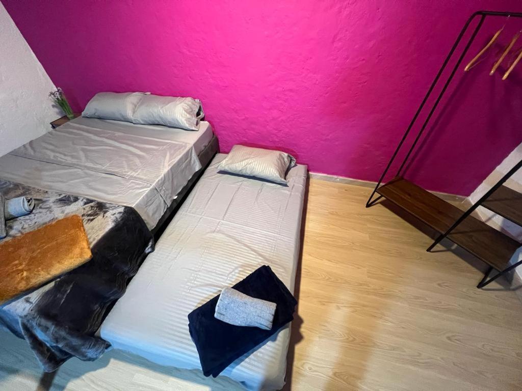 Apartaestudios Las Astromelias Salento Eksteriør bilde
