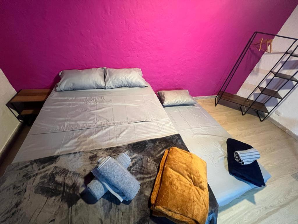 Apartaestudios Las Astromelias Salento Eksteriør bilde