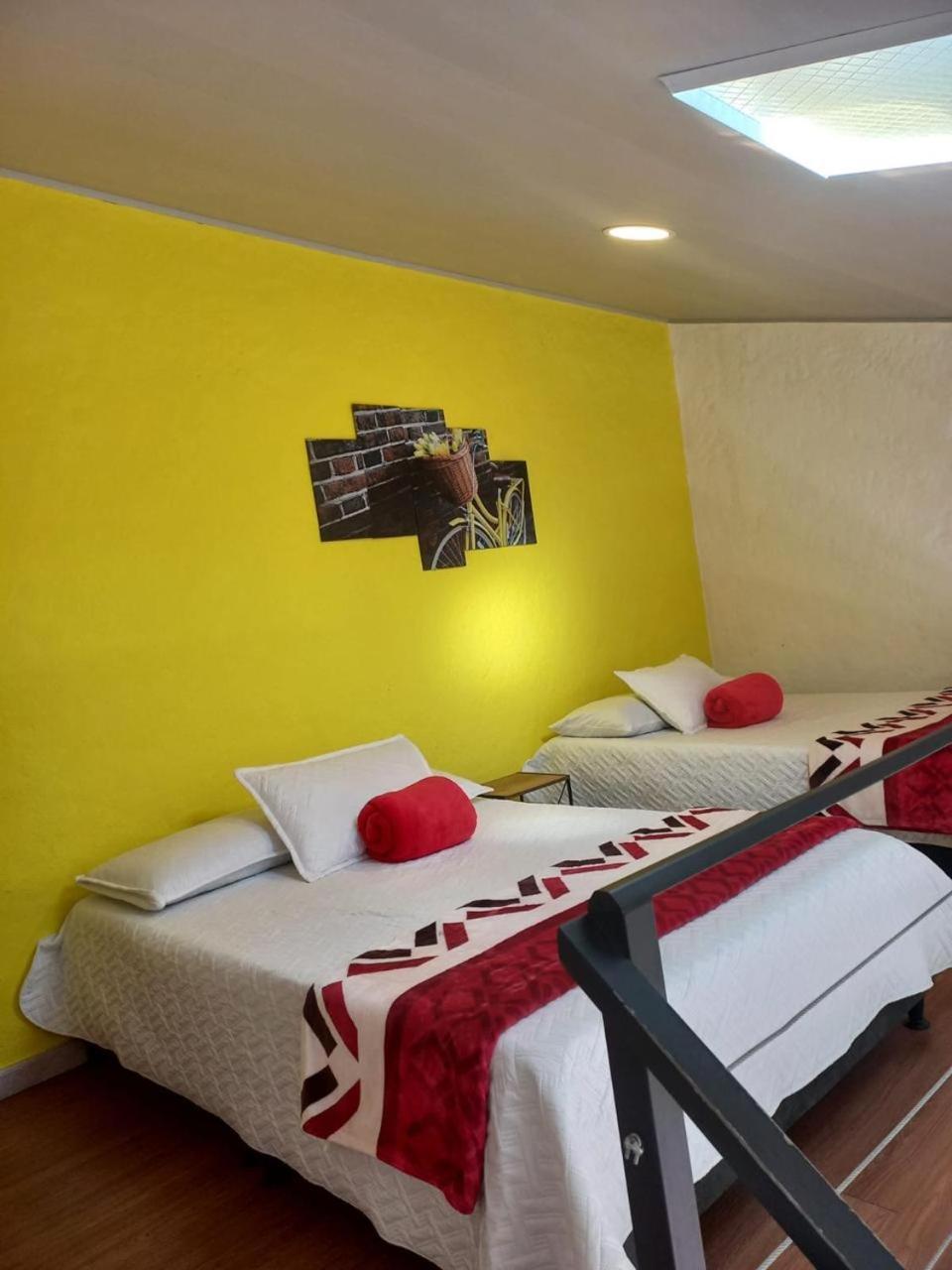 Apartaestudios Las Astromelias Salento Eksteriør bilde